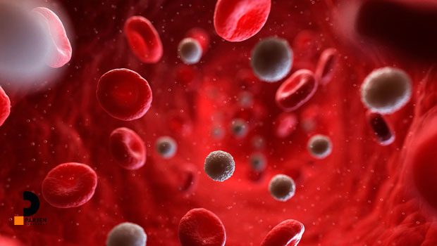 تفاوت m.c.v و m.c.h