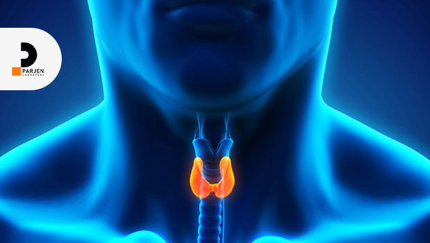 ارتباط تیروئید و دیابت