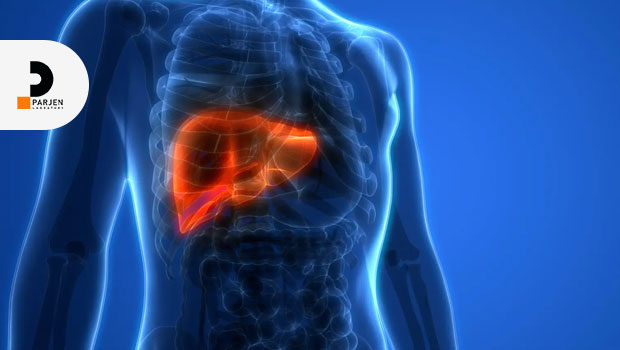 کبد چرب چیست؟